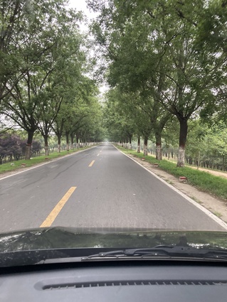 河南乡村路，两边广袤农田，中间小路延伸望不到头